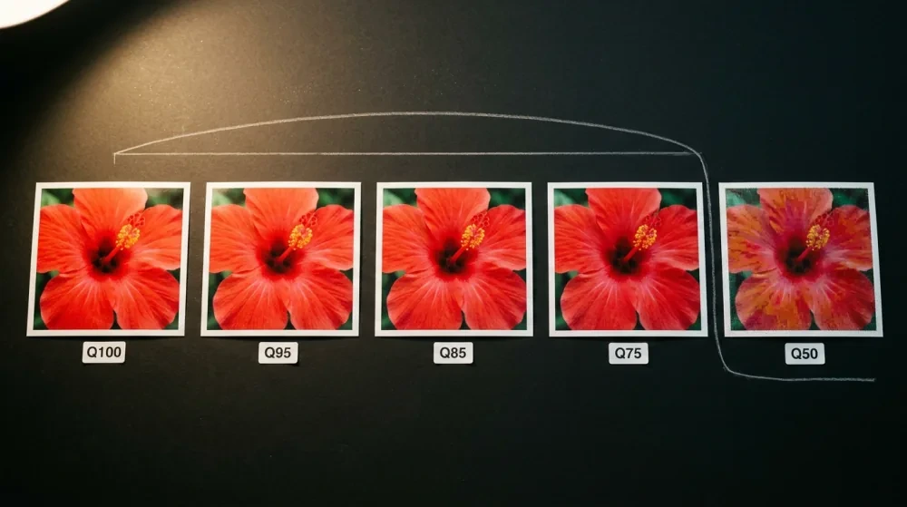 Five physical photo prints of the same hibiscus flower at JPEG quality 100, 95, 85, 75 and 50 — visually identical until quality 50, where the image visibly degrades